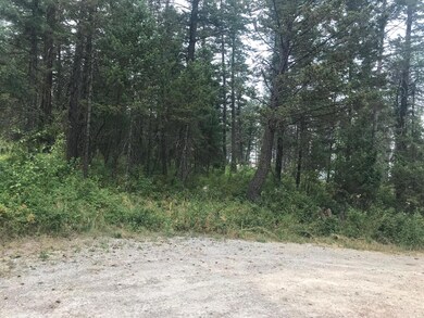 450 Cougar Trail, Whitefish, MT 59937 - photo 2