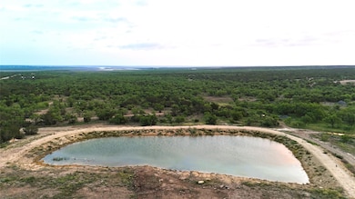 Bird's eye view of a forest and a large body of water