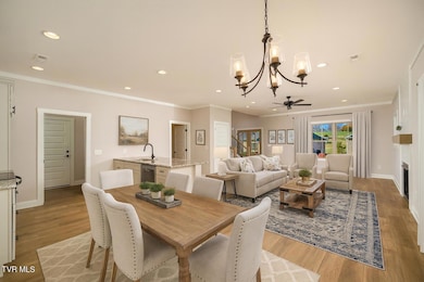 391 Wilson Knob View, Jonesborough, TN 37659 - photo 2