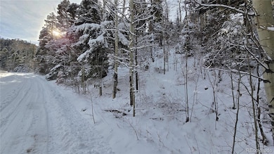 Lot 5540 Joy Rd, Fort Garland, CO 81133 - photo 4