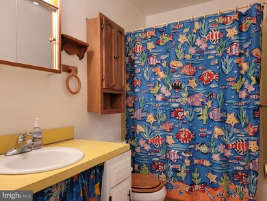 202 King William St, Newark, DE 19711 - photo 3