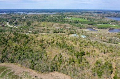 06-WoodsIslandRd-AT