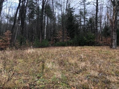 242 Daniel Webster Hwy, Center Harbor, NH 03226 - photo 4