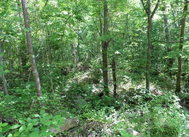 Sec 2Lots 8 & 9 Circle Rd, Stanardsville, VA 22973 - photo 2