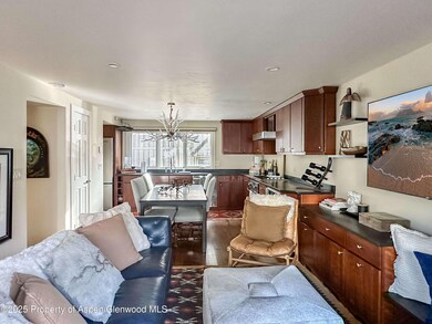 720 W Hopkins Ave unit D, Aspen, CO 81611 - photo 3