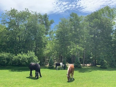 33 Pingree Hill Rd, Derry, NH 03038 - photo 3