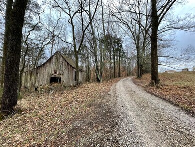 0 Cane Creek Rd unit 216390, Sparta, TN 38583 - photo 4