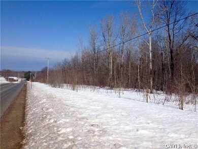 Land/Lot. Tons of road frontage and elbow room!