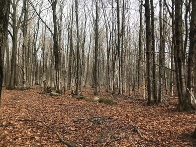 0 Sloptown Rd unit 201812505, Beaver Island, MI 49782 - photo 7