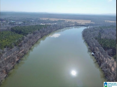 650 & 651 Liberty Shores Blvd unit Lot 9C, Vincent, AL 35178 - photo 4