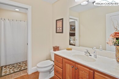 500 Indian Paintbrush Dr unit RM-4, Banner Elk, NC 28604 - photo 5