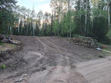 Building Lot road view