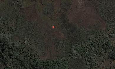 49667 Bermont Rd, Punta Gorda, FL 33982 - photo 4