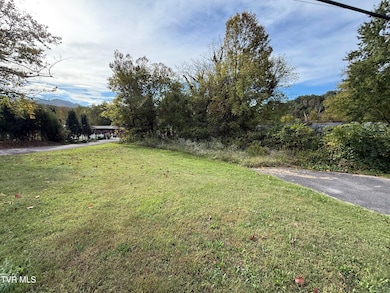 TBD Tennessee 91, Elizabethton, TN 37643 - photo 4