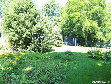 Yard.