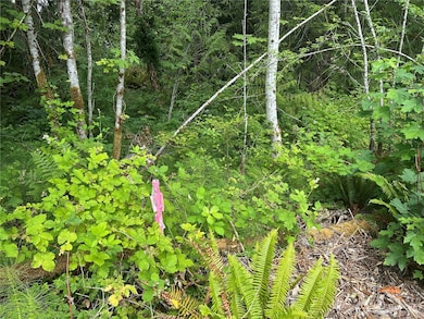 19401 Whiteman Cove Rd SW, Longbranch, WA 98351 - photo 6