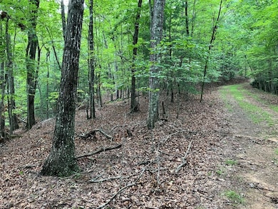 Lot 41 Floris Mountain Rd, Murphy, NC 28906 - photo 3