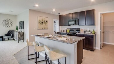 10845 Trailing Vine Dr, Tampa, FL 33610 - photo 3