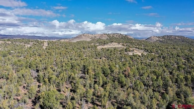 TBD Green Shadows Rd, Durango, CO 81303 - photo 5