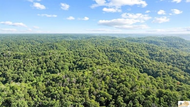 0 Crocus Creek Rd, Burkesville, KY 42717 - photo 7