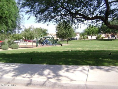 COMMUNITY PLAYGROUND