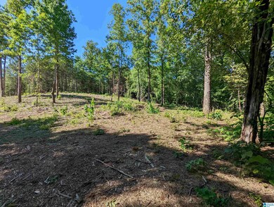 0 Cornerstone Dr unit 26 1320830, Calera, AL 35040 - photo 3