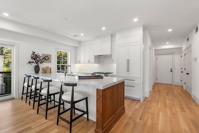 69 Williams St unit 202, Jamaica Plain, MA 02130 - photo 7