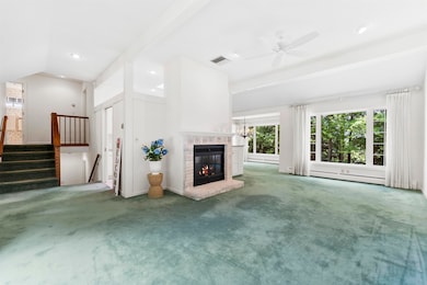 Wood-burning fireplace