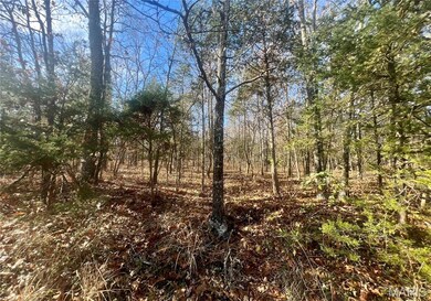 0 Mimeaux unit MIS25077788, Bonne Terre, MO 63628 - photo 2