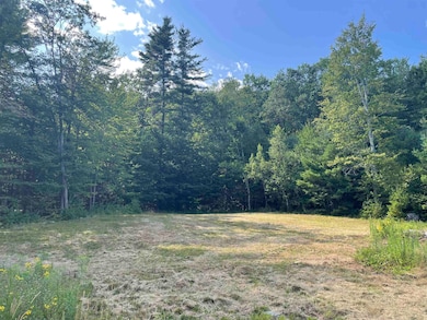 491 Whitneyville Rd, Halifax, VT 05358 - photo 6