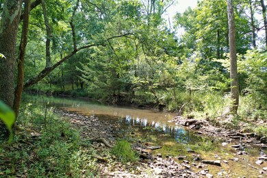 Creek2