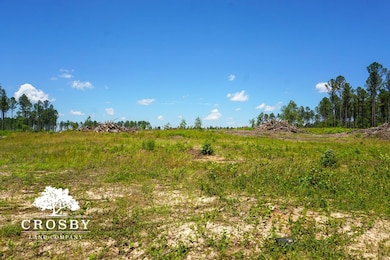 0 W Quaker Rd unit 25649767, Keysville, GA 30816 - photo 2