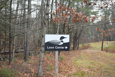 00 Blake Rd unit 8, Moultonborough, NH 03254 - photo 3