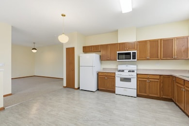 9017 Concord Ln unit L, Justice, IL 60458 - photo 7