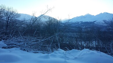 View of the mountains and small pond