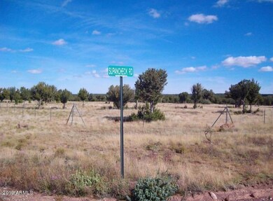 SNYDER LAND PHOTO 2