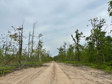 Parcel #C Town Line Rd, Lewiston, MI 49756 - photo 6