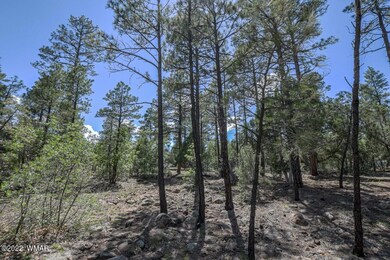 2011 S Sierra Park Trail, Show Low, AZ 85901 - photo 5