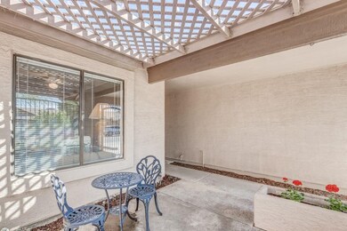 Shaded Courtyard