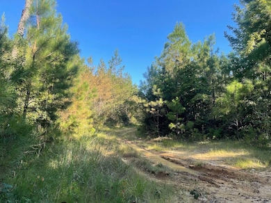 00 N County Line Rd, Maben, MS 39750 - photo 6