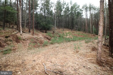 0 Spruce Hollow Rd unit PACC2001074, Palmerton, PA 18071 - photo 6