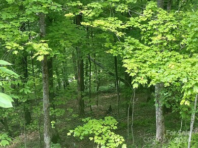 000 El Miner Dr unit 577, Mars Hill, NC 28754 - photo 5