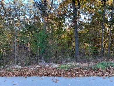 43 Purfleet Dr, Bella Vista, AR 72715 - photo 3