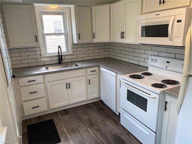 your new kitchen with ceramic backsplash, new sink, faucet, light, dishwasher and microwave