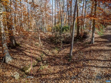 0 Porters Rd unit 671218, Esmont, VA 22937 - photo 7