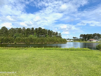 4042 Reunion Pointe Ln, New Bern, NC 28562 - photo 3