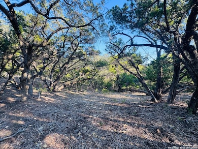 169 Center Point Rd, Lake Medina Shores, TX 78003 - photo 4