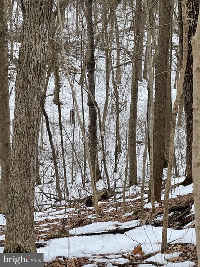 Lot 6 Leisure Way, Shepherdstown, WV 25443 - photo 3