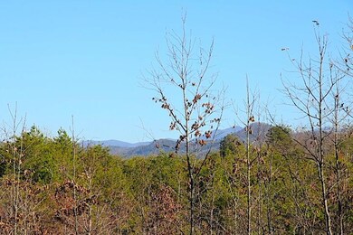 IMG_7487