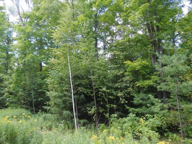 Lot 10 Eagle Waters Rd, Tomahawk, WI 54487 - photo 6